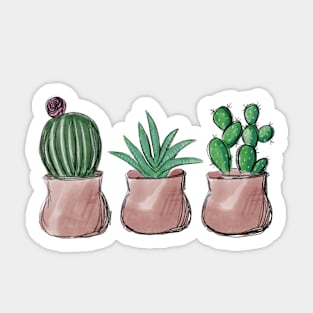 Potted Succulents Sticker